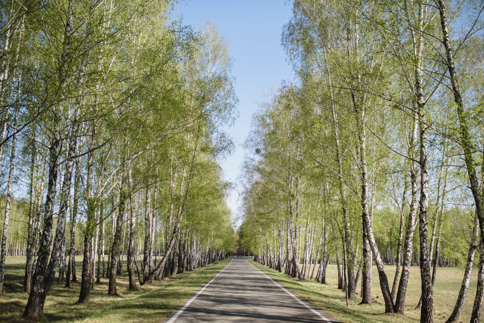 Повернення до зони відчуження