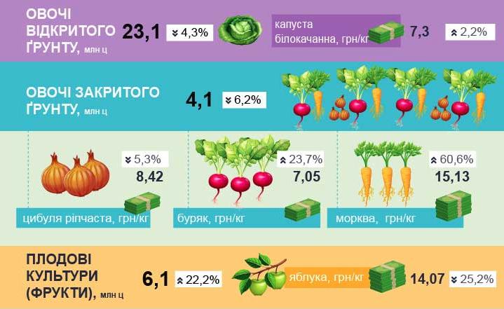 В УКРАЇНІ ЗНАЧНО ЗДОРОЖЧАЛИ ПШОНО ТА МОРКВА, ПРОТЕ ЗДЕШЕВШАЛИ ЯБЛУКА. ІНФОГРАФІКА