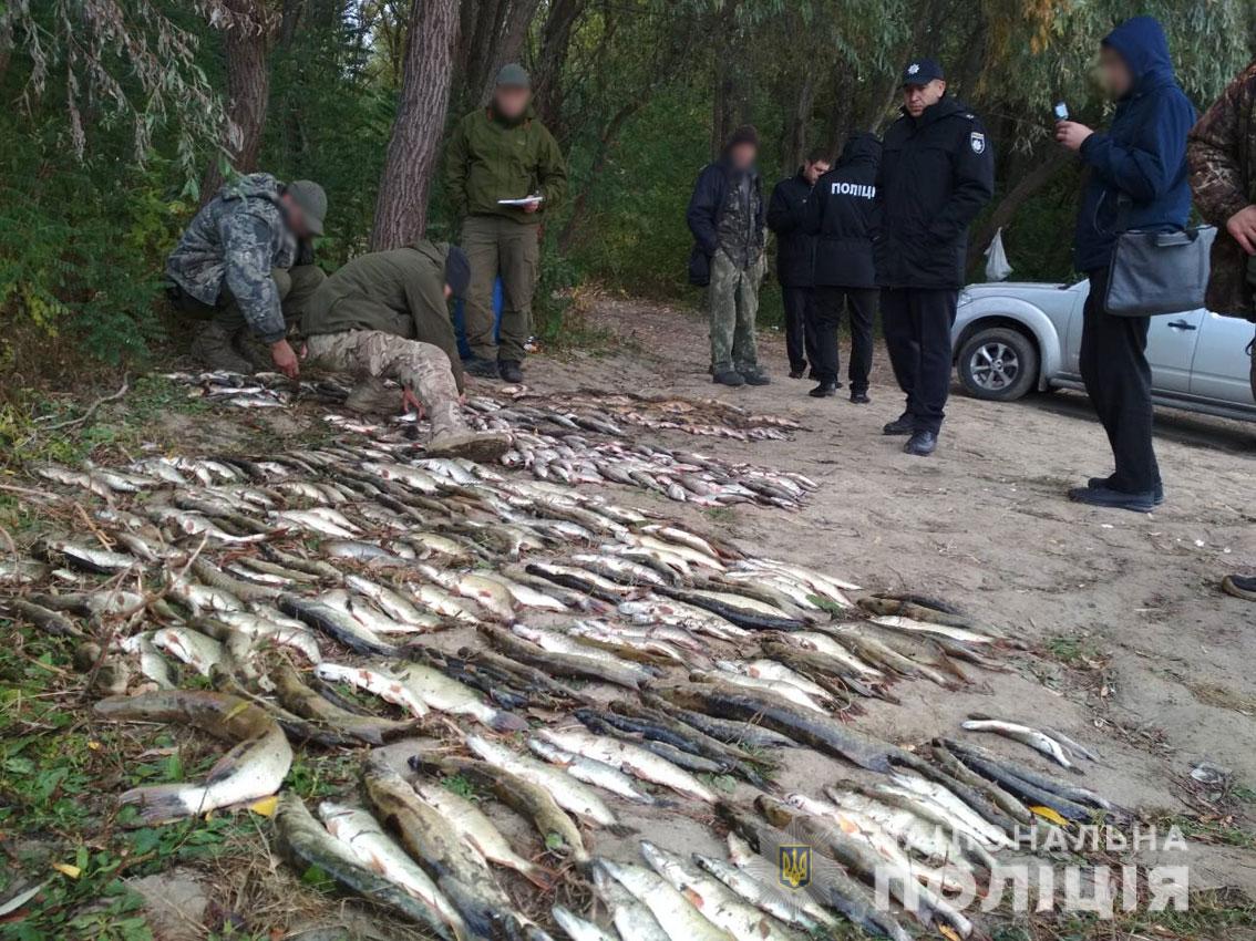 У Десні браконьєри електровудкою знищили 100 кг риби