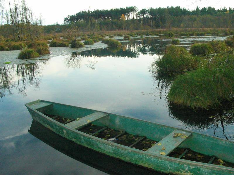 НЕЙМОВІРНА ЧЕРНІГІВЩИНА: УЗРУЇВСЬКІ ДЖЕРЕЛА. ФОТО