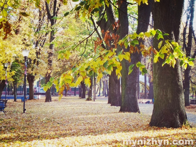 Барви осіннього Ніжина. Фото