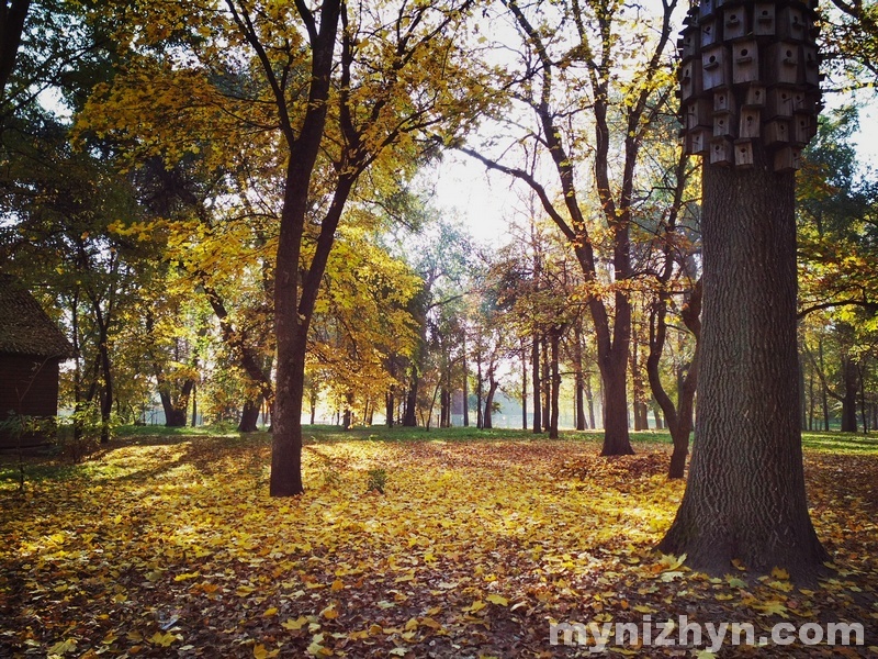 Барви осіннього Ніжина. Фото