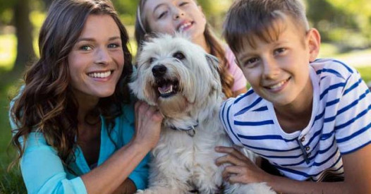 Станьте Au Pair і вдосконалюйте знання німецької – Освіта.UA