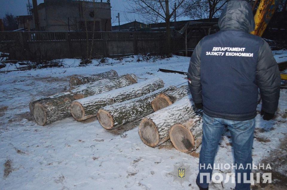 На Чернігівщині поліція затримала групу «чорних» лісорубів