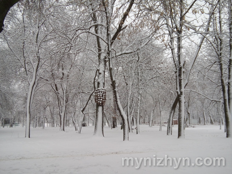 Краса засніженого Ніжина. Фото