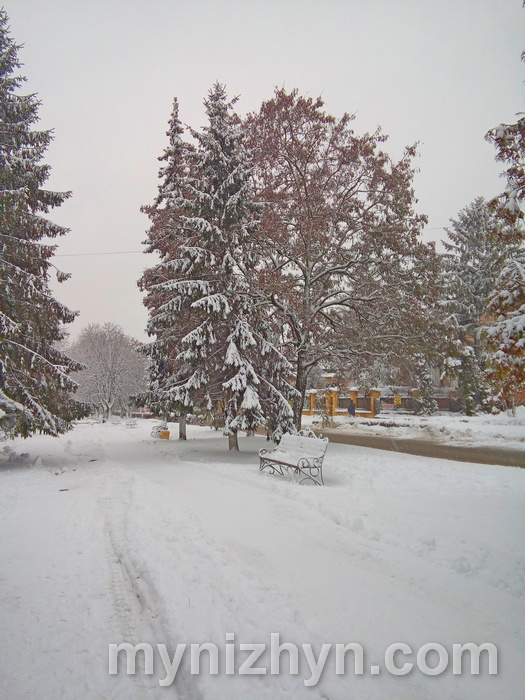 Краса засніженого Ніжина. Фото