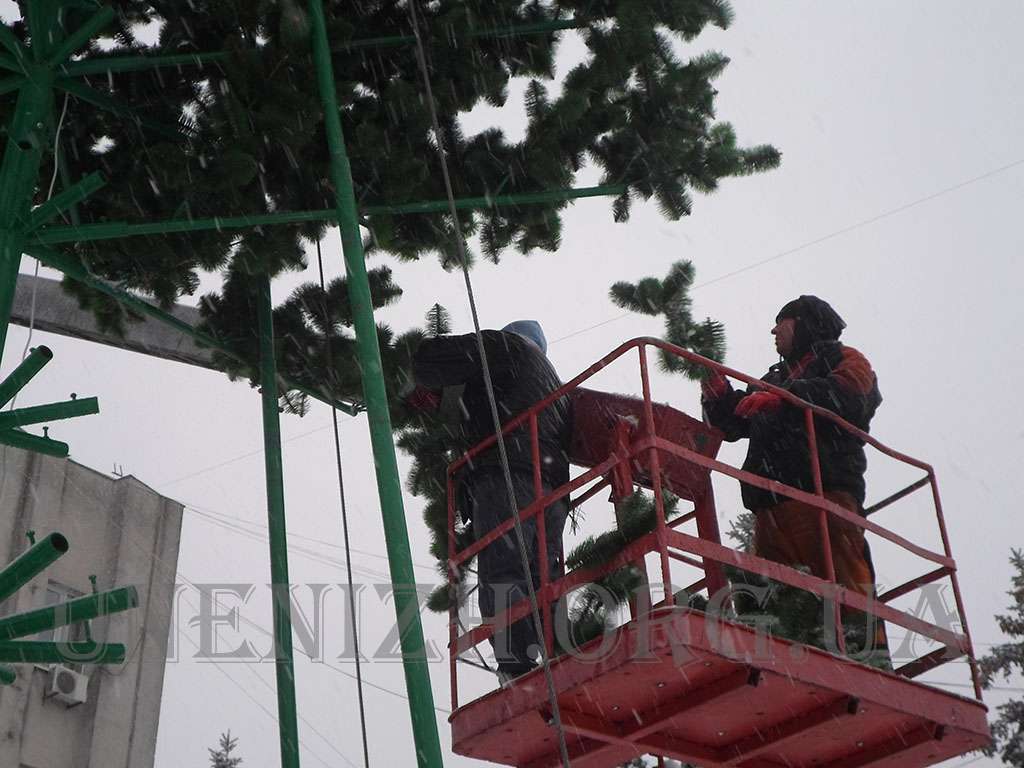 Головна новорічна ялинка Ніжина встановлена: як збрали 15-ти метрову красуню