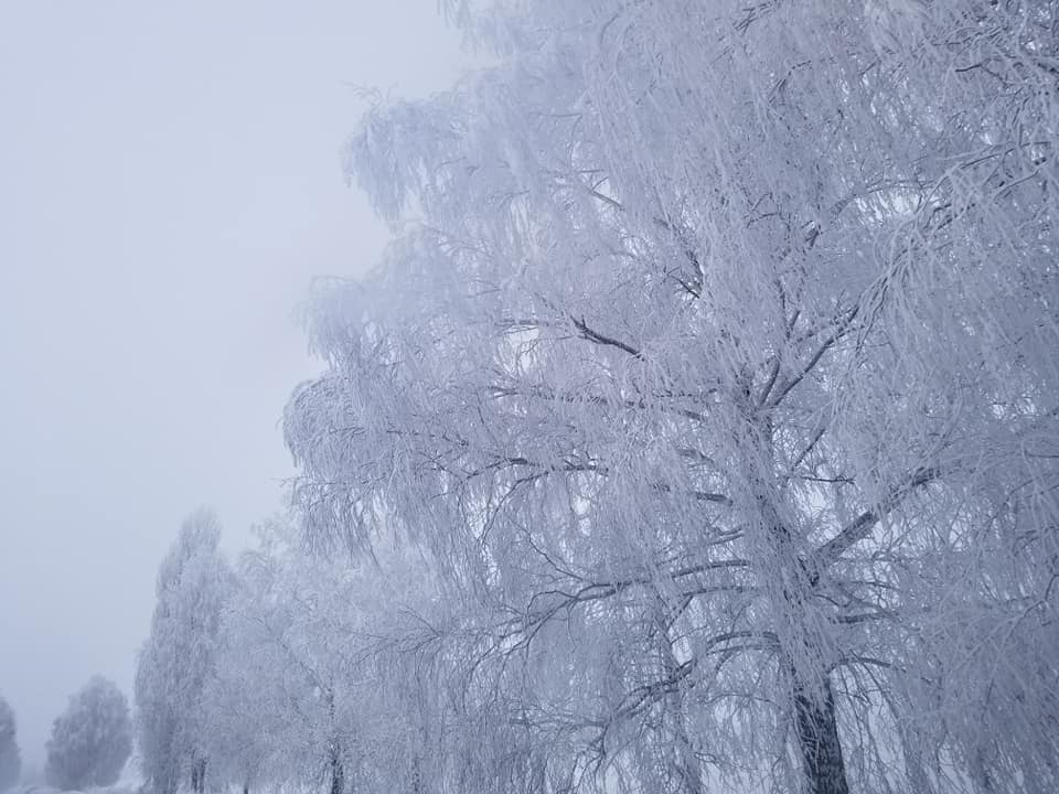 Казкові дороги Ічнянщини (Фото)