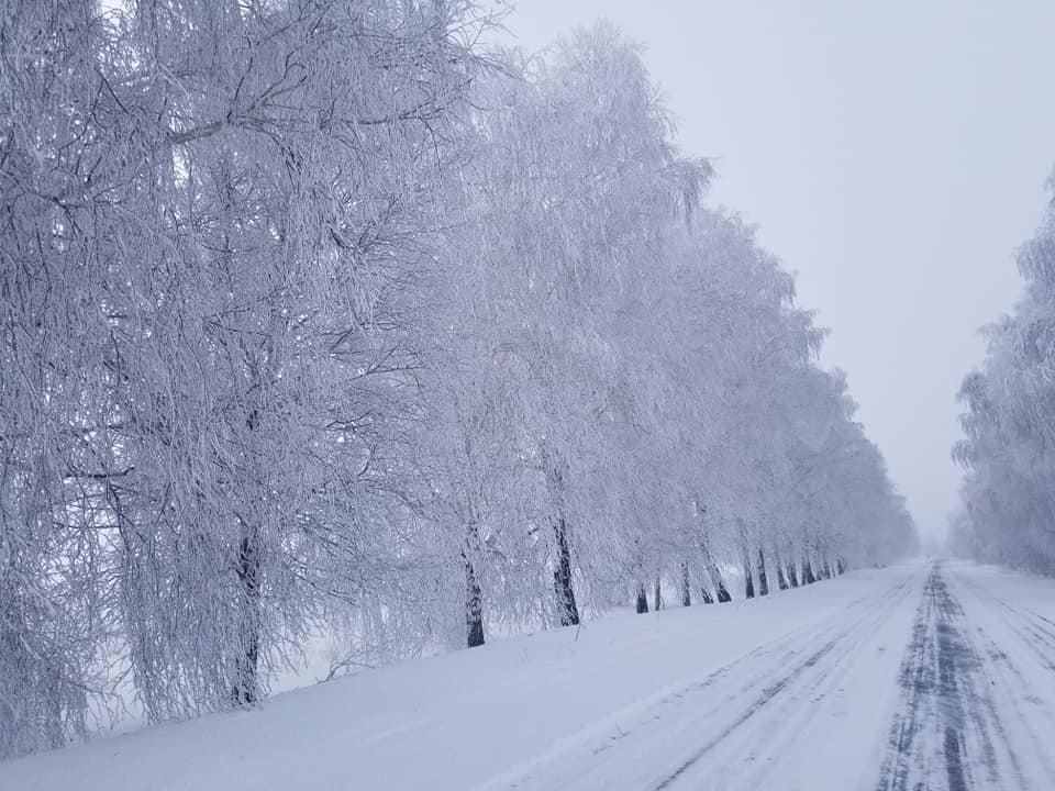 Казкові дороги Ічнянщини (Фото)