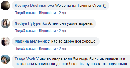 Фейсбучна тема дня: прибирання дворів від снігу