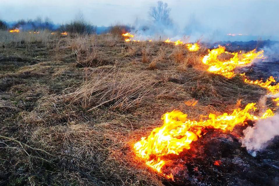 На Ніжинщині під час спалювання сухої трави загинула 80-річна жінка