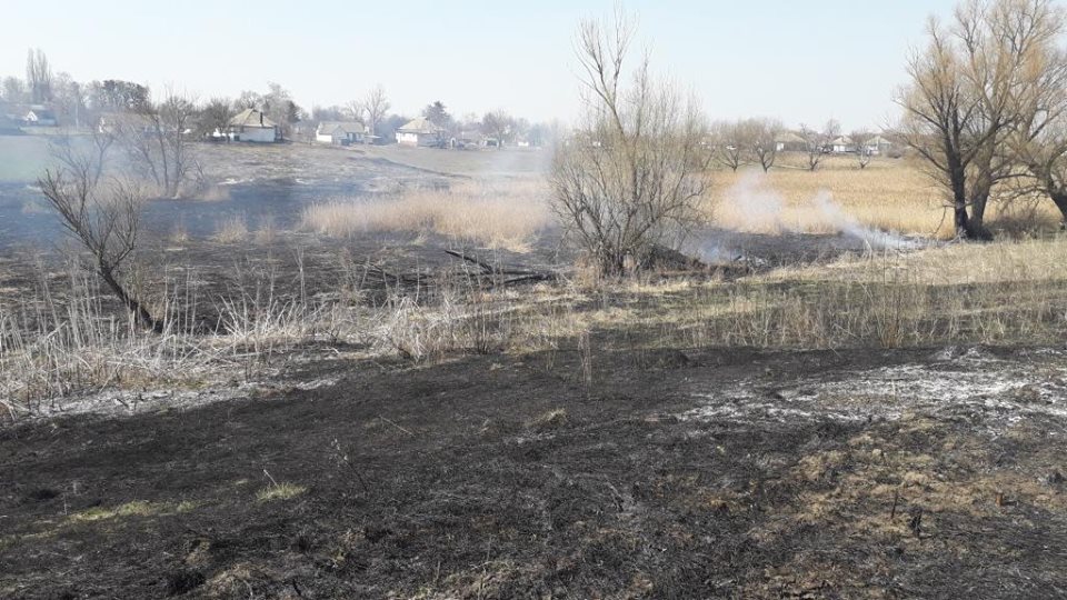 На Ніжинщині під час спалювання сухої трави загинула 80-річна жінка