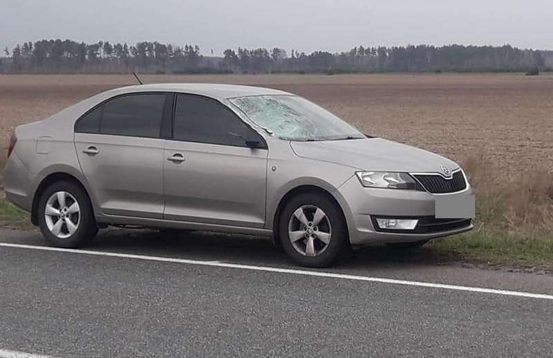 Сталася ДТП на Московській трасі