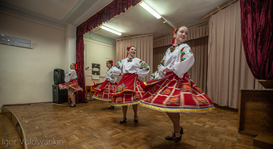 Бібліоніч у Гоголевому виші: як це було. Фото