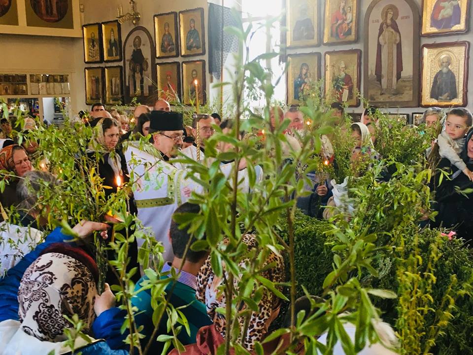 Як ніжинці освячували вербу. Фото