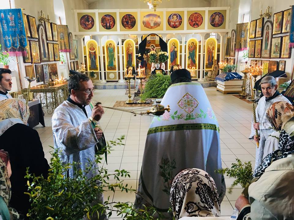 Як ніжинці освячували вербу. Фото