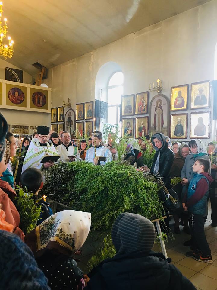 Як ніжинці освячували вербу. Фото