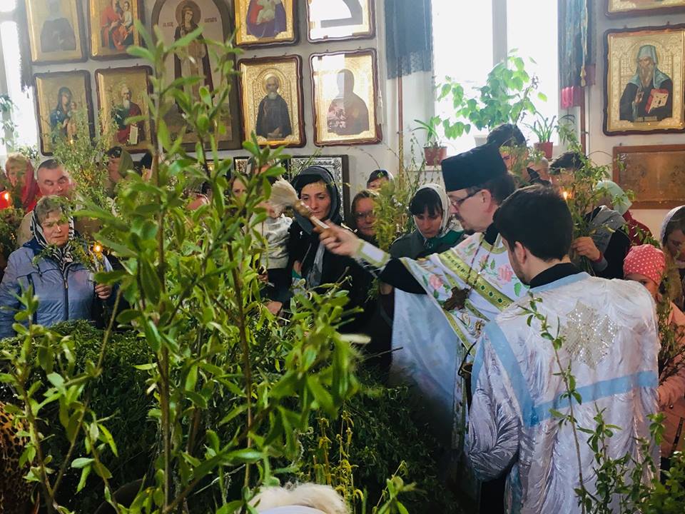 Як ніжинці освячували вербу. Фото