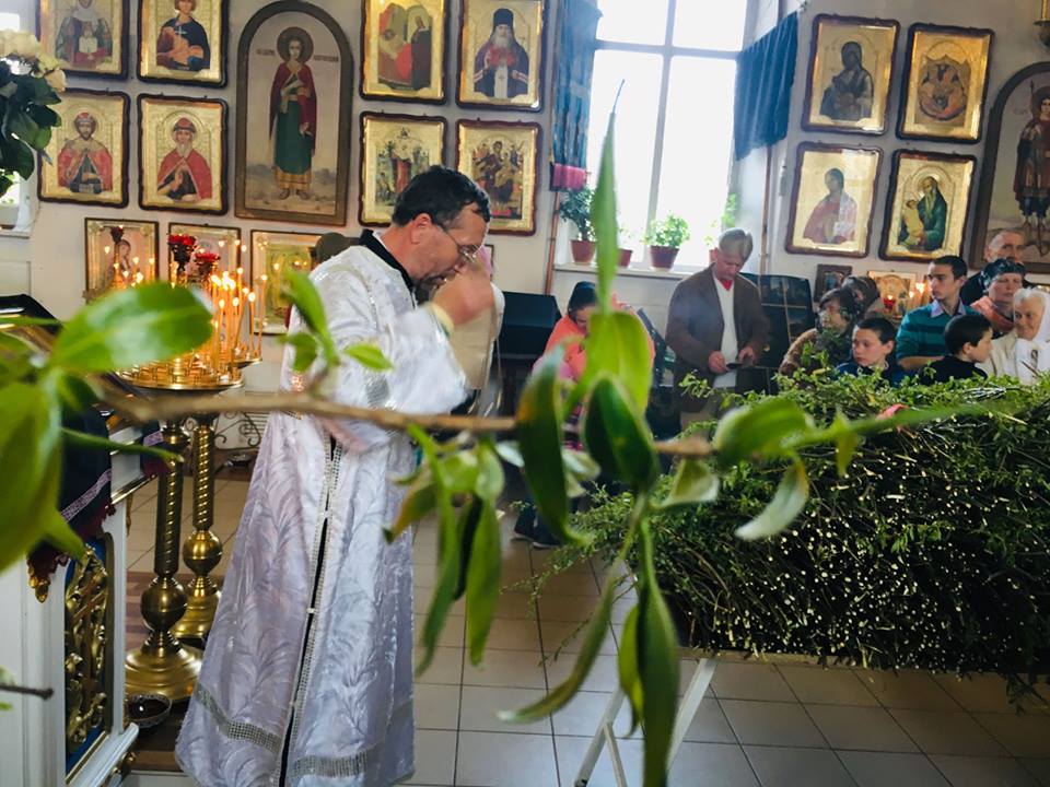 Як ніжинці освячували вербу. Фото