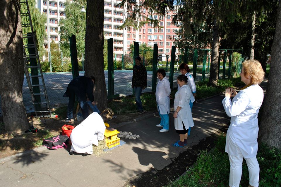 У чернігівській лікарні працюють «хвостаті психологи» (Фото)