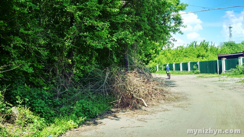 Ніжинців будуть штрафувати за захаращення майданчиків для збору сміття?