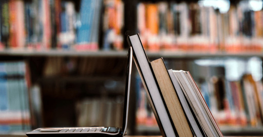 Доступ до Scopus отримають усі бюджетні виші – Освіта.UA