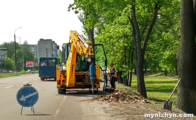 Ніжин продовжують «підчищати» від дерев