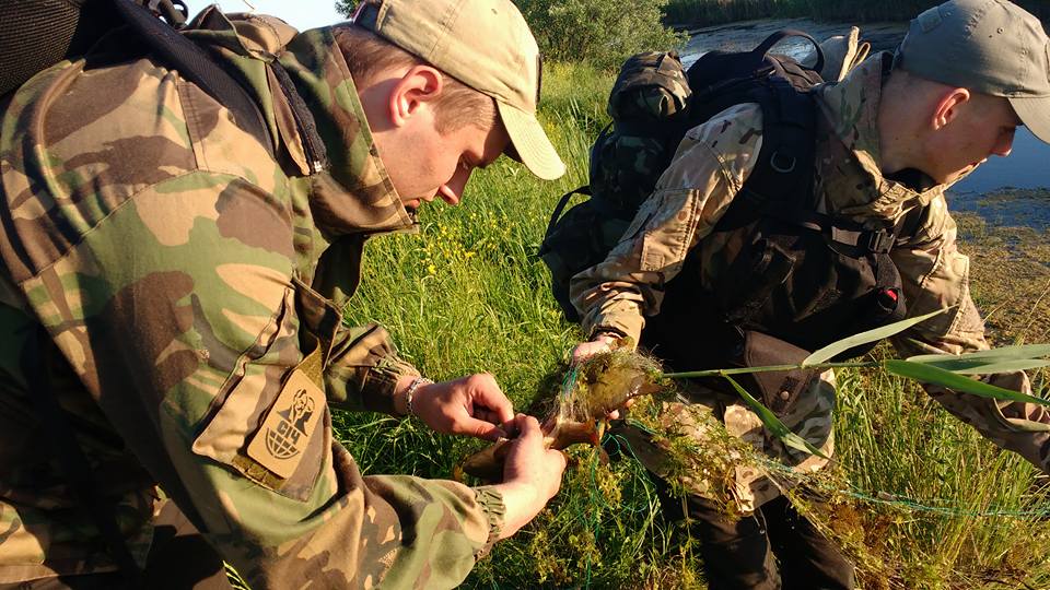 Активісти виявили і знищили браконьєрські сітки на річці Остер