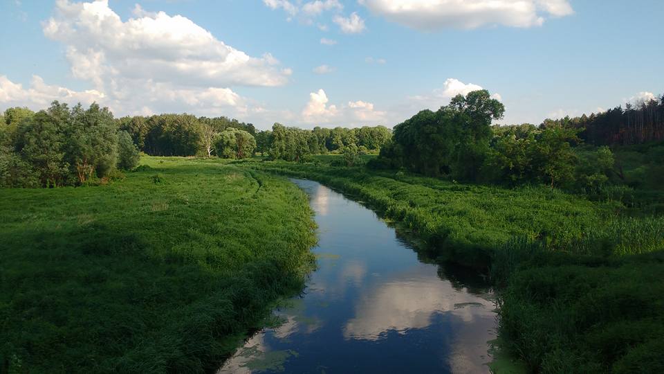 Активісти виявили і знищили браконьєрські сітки на річці Остер