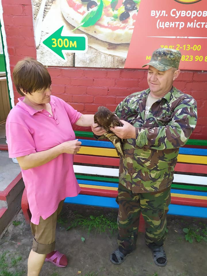 На Сновщині з пастки врятували червонокнижну пташку