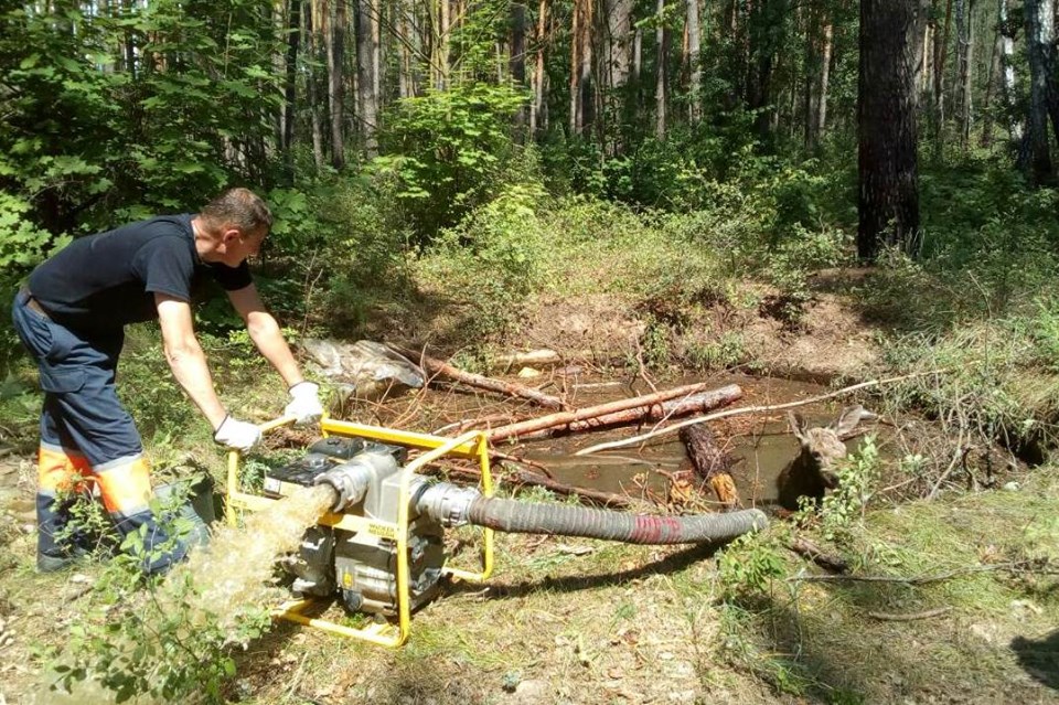 Як рятувальники вивільняли маленьке лосеня з пастки. Фото