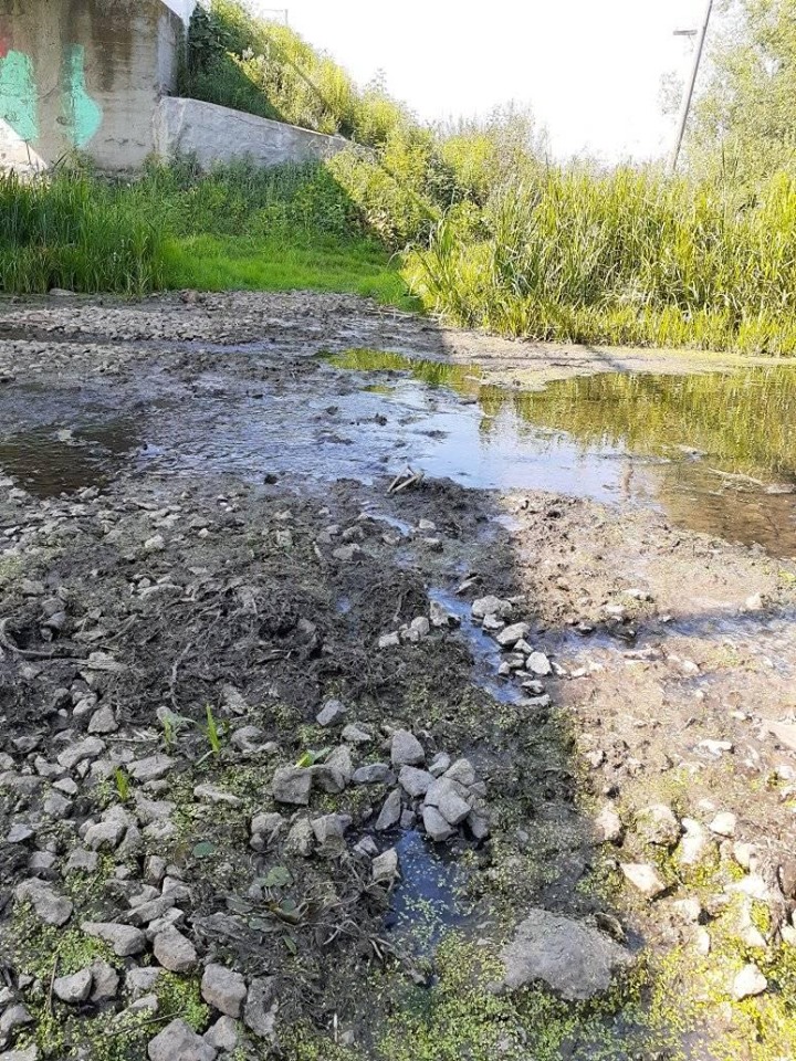 Патогенної мікрофлори в Острі немає, бажаючих купатися – теж