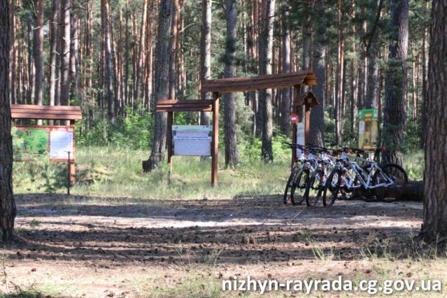 Шукають нового директора для КЗ «Регіональний ландшафтний парк «Ніжинський»