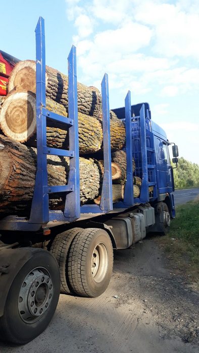 Незаконна вирубка лісу: ніжинська поліція затримала вантажівку заповнену деревиною