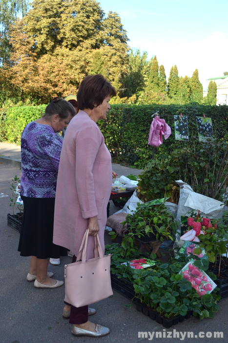 У Ніжині розпочався ярмарок «Сад-город». Фото