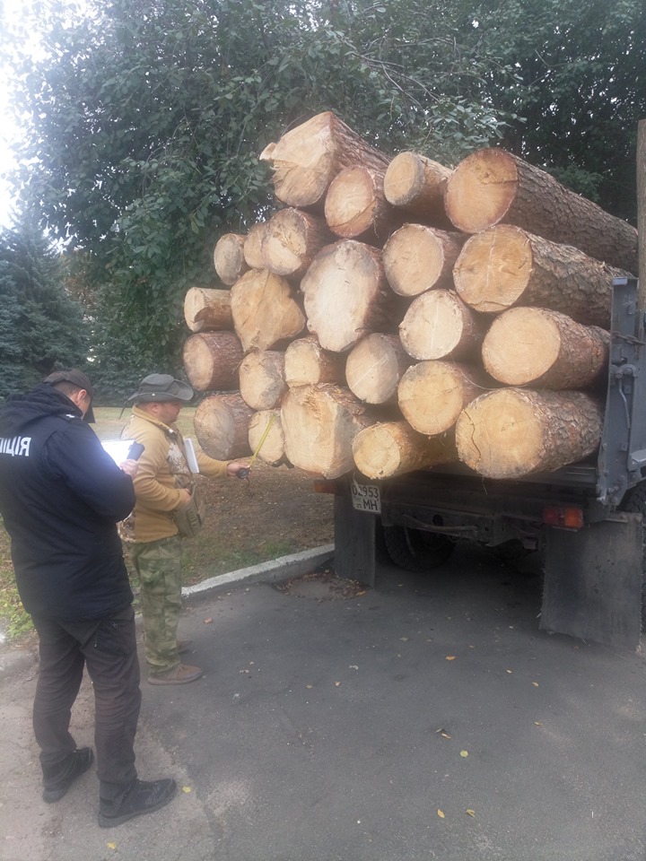 Поліція продовжує боротьбу з незаконною вирубкою лісу