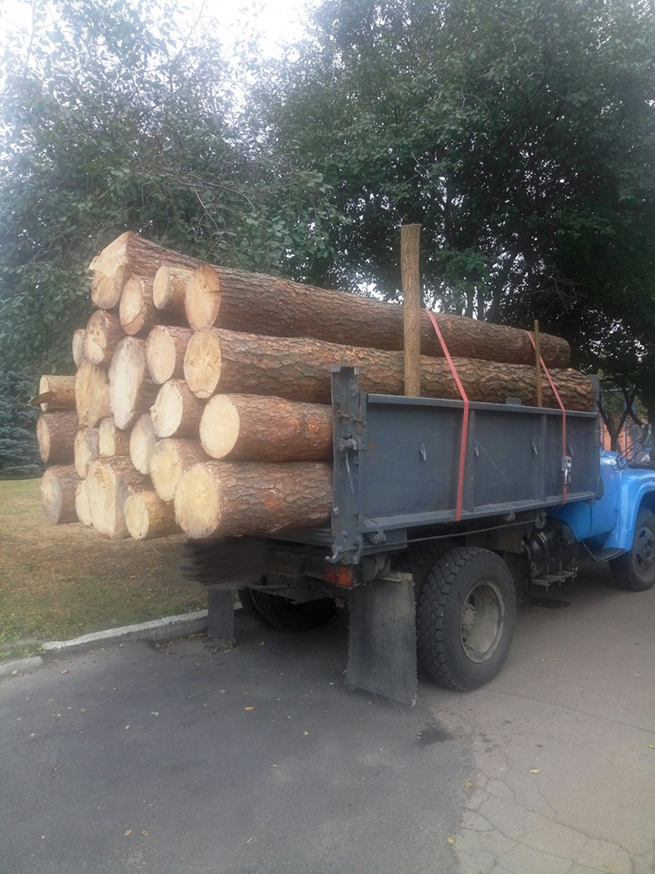 Поліція продовжує боротьбу з незаконною вирубкою лісу