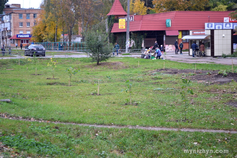 На вулиці Шевченка висадили нові дерева. Фото