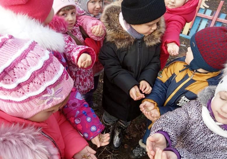 Урок доброти: малечу вчили піклуватися про пернатих. Фото