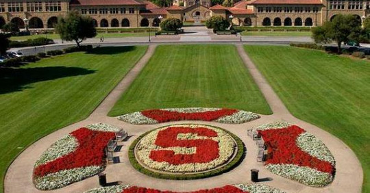 Стипендіальна програма від Stanford University – Освіта.UA