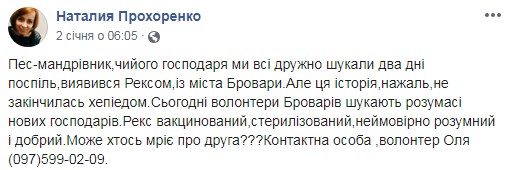 Хвостатий пасажир: як пес подорожував електричкою «Ніжин-Київ»