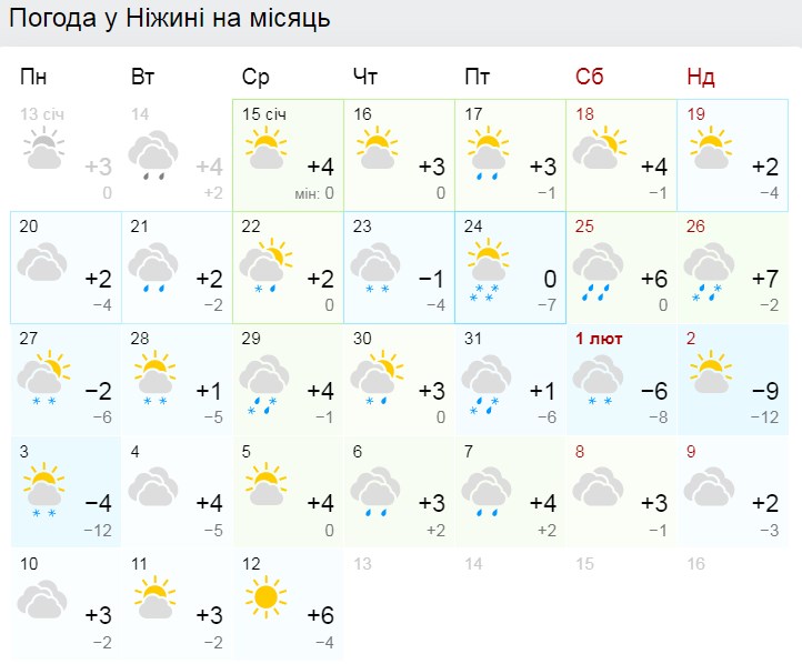 Як у Ніжині рослини реагують на аномально теплу зиму. Фото