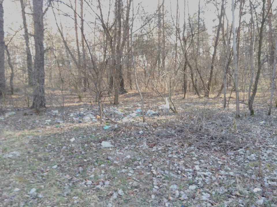Весна прийшла: Чернігів «накриває» сміттям (Фото)