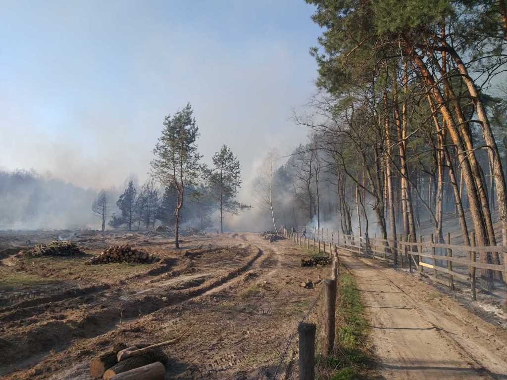 Ніжинські рятувальники гасили з повітря пожежу на Чернігівщині