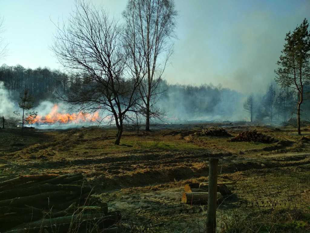 Ніжинські рятувальники гасили з повітря пожежу на Чернігівщині