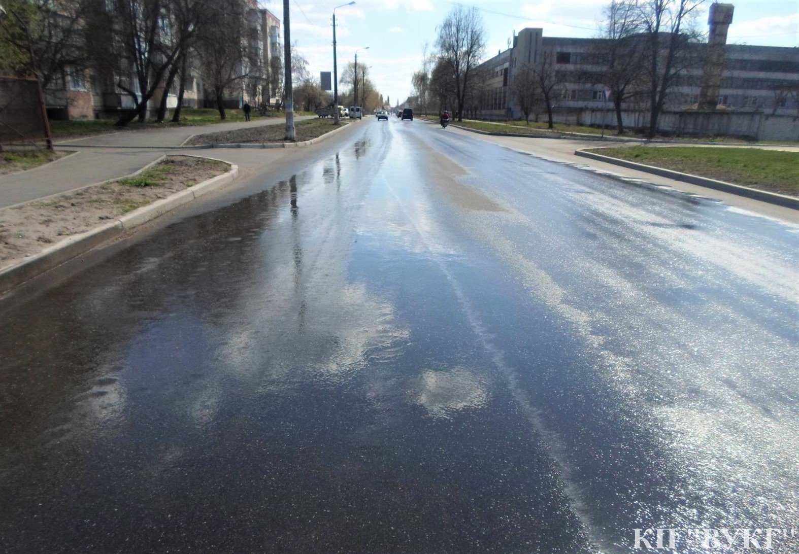 У Ніжині санітарну обробку здійснили на 20 вулицях. Фото