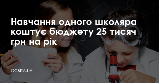 Навчання одного школяра коштує бюджету 25 тисяч грн на рік – Освіта.UA